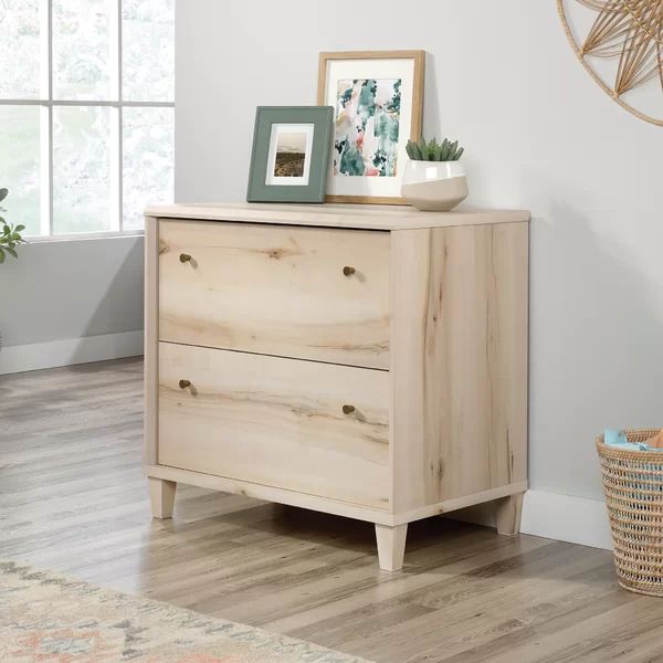 Wagnon Willow Place 2-Drawer Lateral Filing Cabinet | Wayfair North America