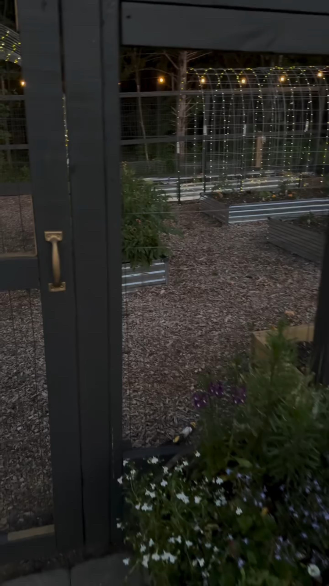 Follow me and watch my garden grow again this year!  I may even add more trellises with twinkle lights!✨
And an arbor with a swing. #swoon🥰

Full disclosure:  This is only my third year gardening. 🤭 I’m not a professional, but I LOVE the joy gardening brings me!  And if I can garden, anyone can!😂. So if you want to learn with me, come on!  I’d love to have you on this journey!  Let’s learn together. ❤️❤️

P.S.  Those are white half runner green beans growing on my trail list, and they are linked below.
.
#GardenInspiration #GardenTrellis #TrellisLights #BeginnerGardner #GardeningTips