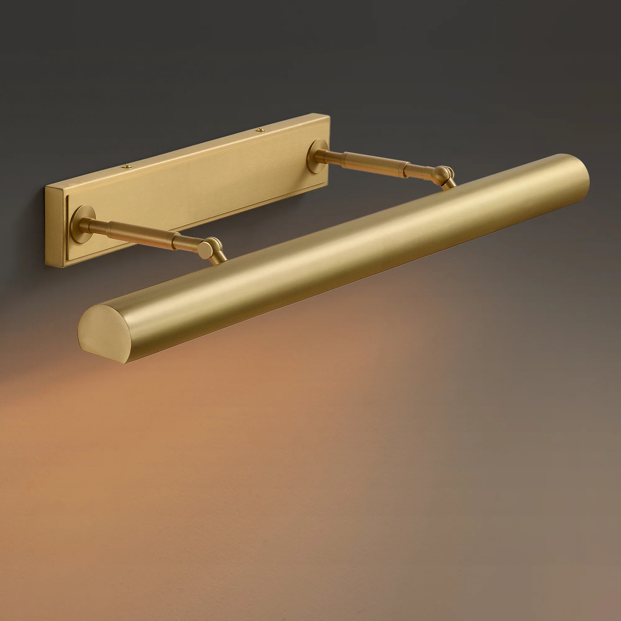 24"Dimmable Brass Wall Mounted Picture Light | Wayfair North America