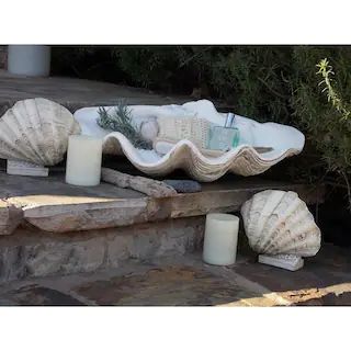 Large Clam Shell | The Home Depot