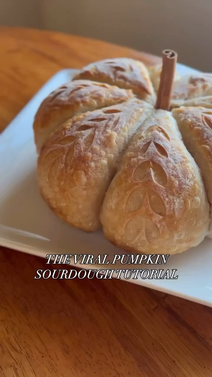 viral pumpkin sourdough tutorial
(audio instructions are on instagram @thatgenzhomemaker)



#LTKVideo #LTKHome #LTKSeasonal