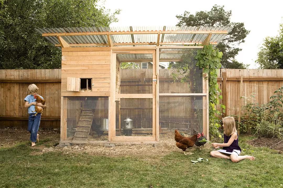 The Garden Coop Walk-in Chicken Coop Plan Ebook (Instant Download) - Etsy | Etsy (US)