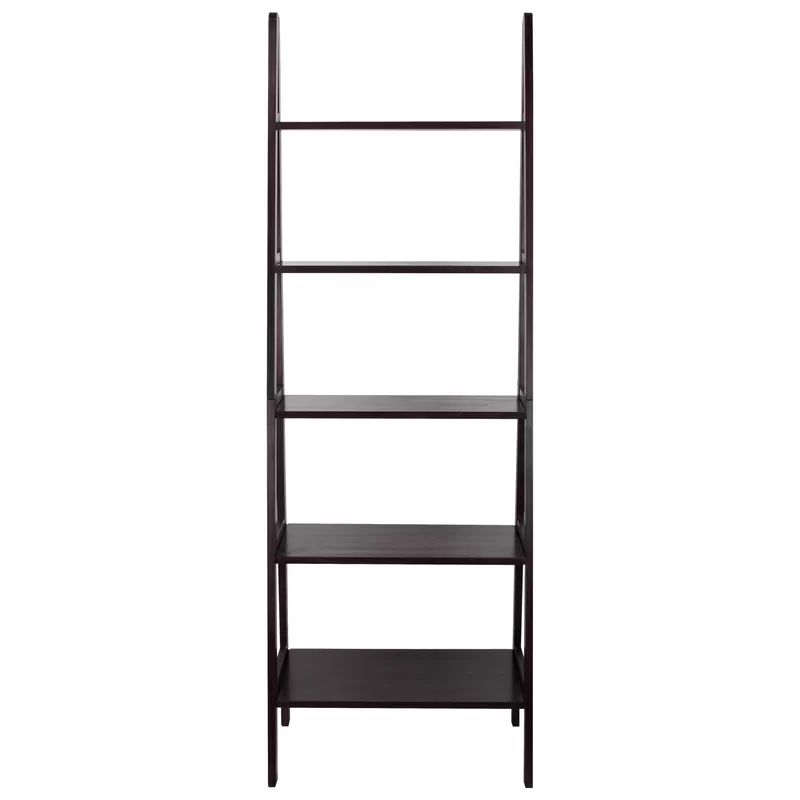 Ranie Ladder Bookcase | Wayfair North America