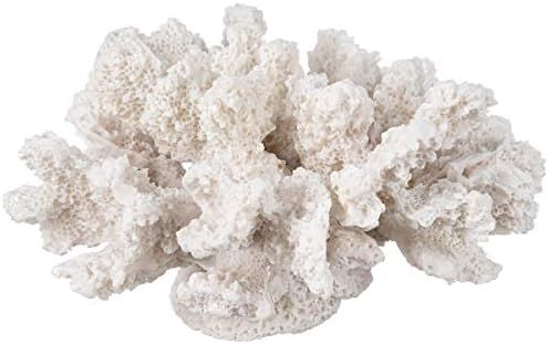 Nautical Crush Trading Decorative Sea Coral - 4in x 3.5in x 2.5in - Small White Coral for Beachy Dec | Amazon (US)