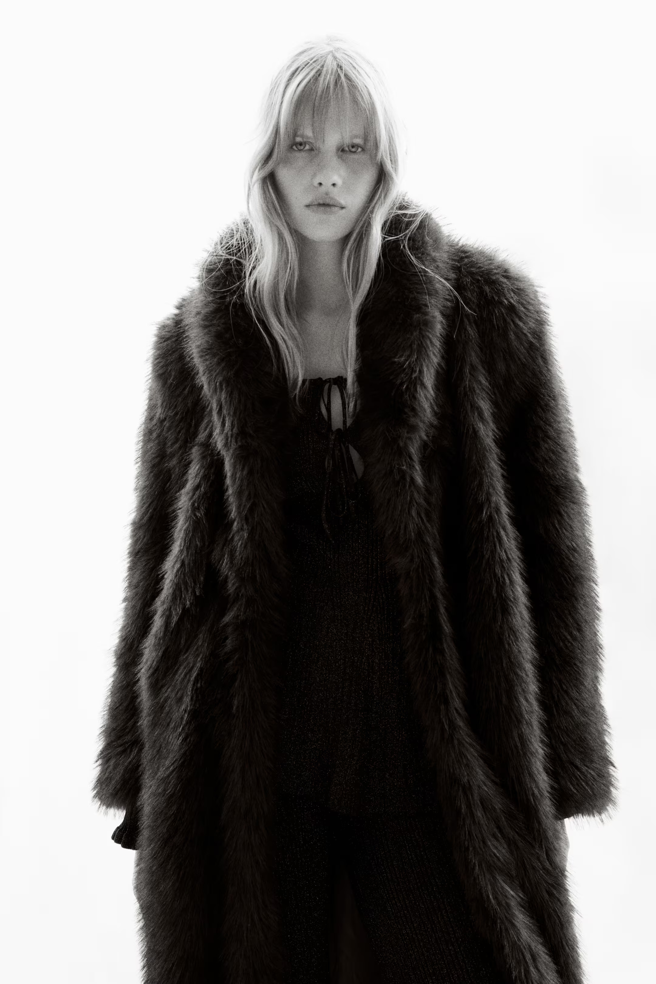 Fluffy Coat with Shawl Collar | H&M (US + CA)