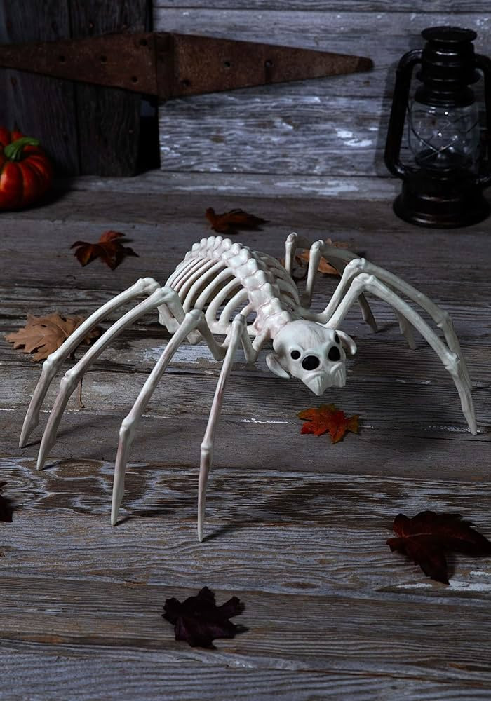 Seasons 20" Spider 'Skeleton' | Amazon (US)