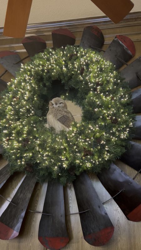Added my owl to the middle of my wreath.  

#LTKSeasonal #LTKhome #LTKHoliday