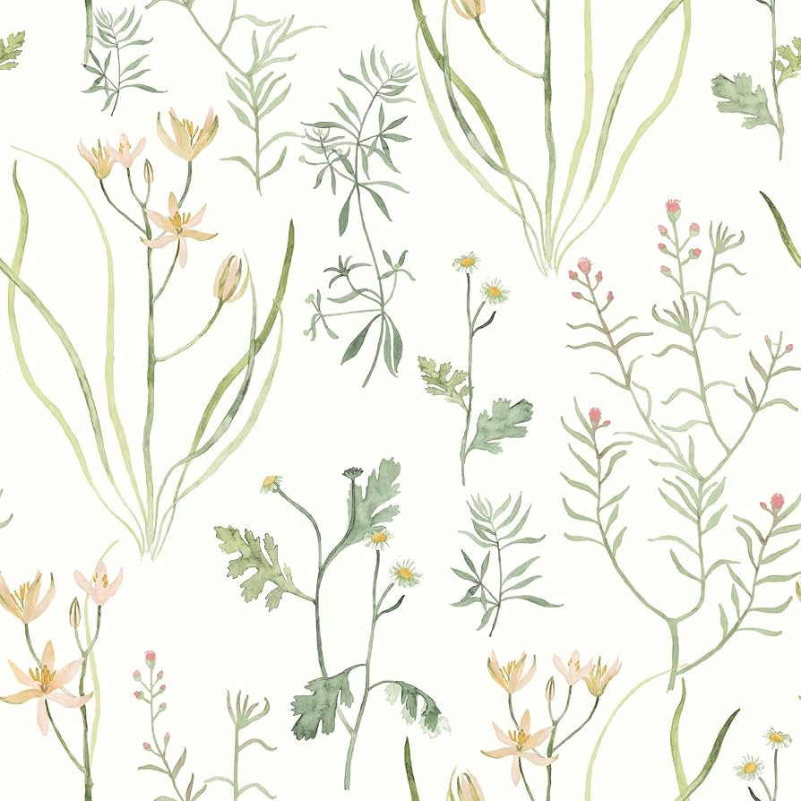York Wallcoverings PSW1519RL Peach Alpine Botanical Premium Peel and Stick Wallpaper | Amazon (US)