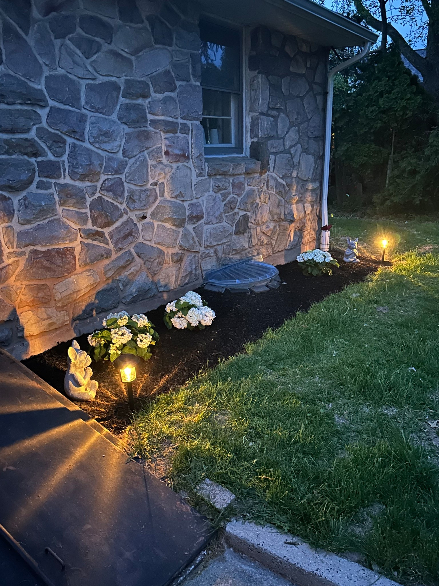 Our little corner of cozy! Freshly planted hydrangeas, solar lights, and a few sweet garden friends made this flower bed makeover extra special.

#LTKHome #LTKWatchNow #LTKSeasonal