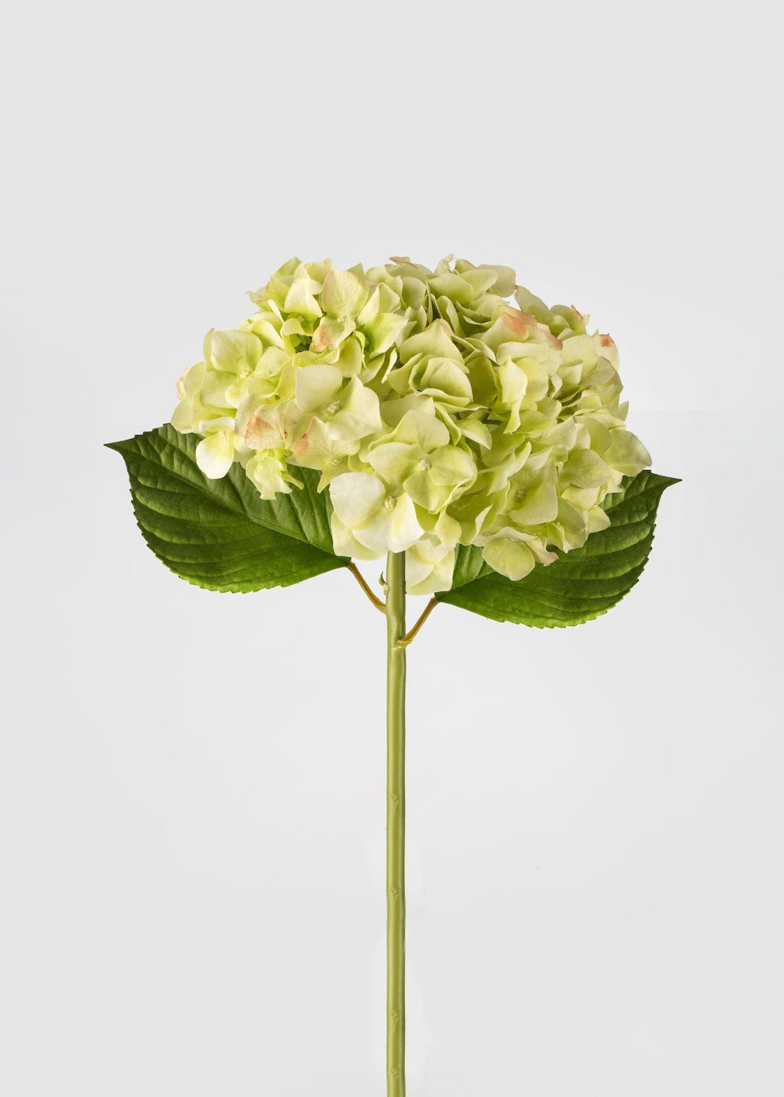 French Country Green Real Touch Hydrangea - 18 | Afloral (US)