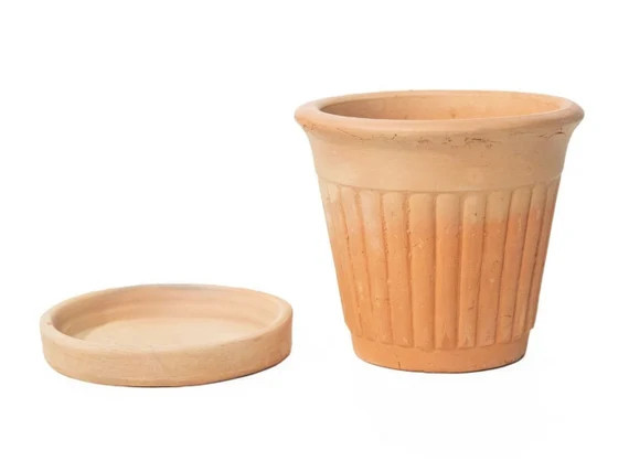 Rustic Aged Terracotta Basic Pot Planters for Cactus Plants | Etsy | Etsy (US)