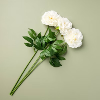 3pk 25" White Peony Artificial Stems - Hearth & Hand™ with Magnolia | Target