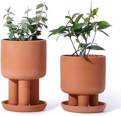 Visit the POTEY Store | Amazon (US)