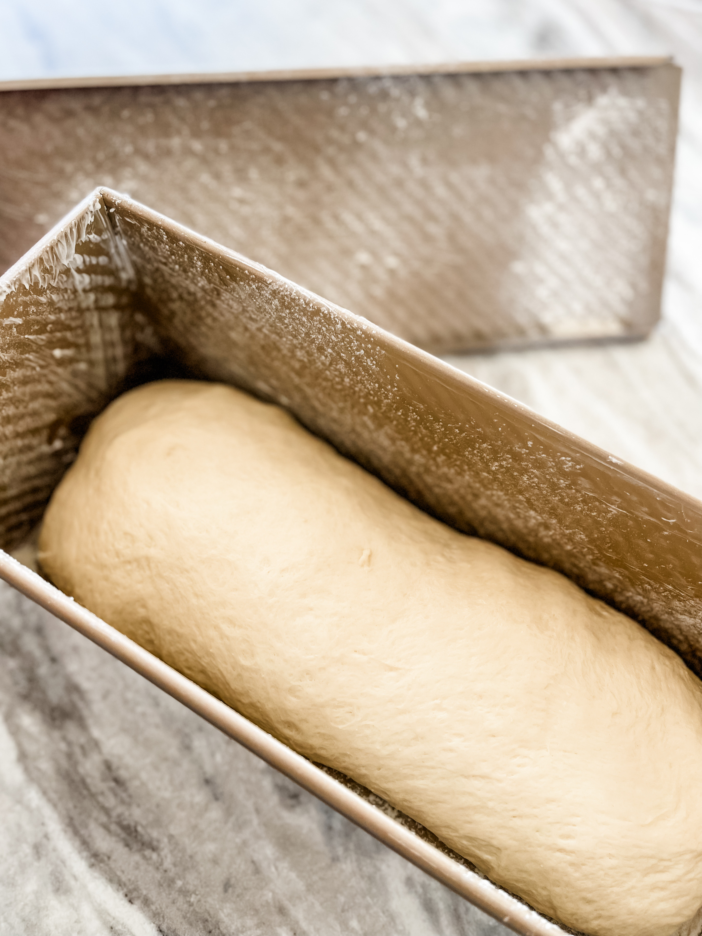 The best pan for making sandwich bread! 🍞 

kitchen finds | kitchen gadgets | kitchen must haves | organization | kitchen organization | kitchen essentials | kitchen aid | ninja | ninja foodi | sourdough | crockpot | bento box | Bentgo box | family dinner 

** make sure to click FOLLOW ⬆️⬆️⬆️ so you never miss a post ❤️❤️

📱➡️ simplylauradee.com

#LTKHome #LTKKids #LTKFamily