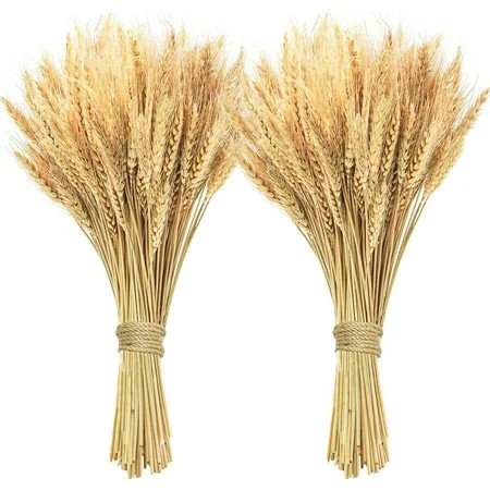 100 Pcs Dried Wheat Stalks,Bexikou 15.7" Natural Wheat Bundle, Dry Flowers Dried Flowers Arrangement for Home Wedding Party Table Centerpieces DIY Design Farmhouse Decor | Walmart (US)