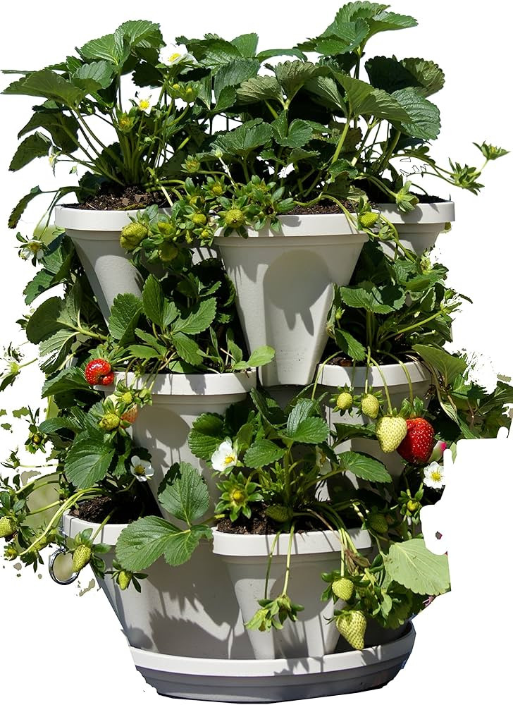 3 Tier Stackable Garden - Indoor / Outdoor Vertical Planter Set - Self Watering Tiers From Top Do... | Amazon (US)