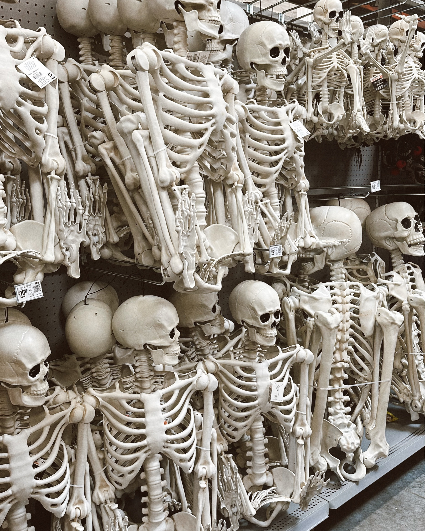 @walmart Halloween finds I’m loving 🤍 from the cutest oversized skelly cardigan to these HUGE skeletons I’ve never seen before? My viral $30 skeletons and a cute new ghost tumbler 🤍🤍🤍 #walmartpartner #walmartfinds #halloween #halloweendecor #halloween2024 

#LTKHalloween #LTKSeasonal #LTKHome