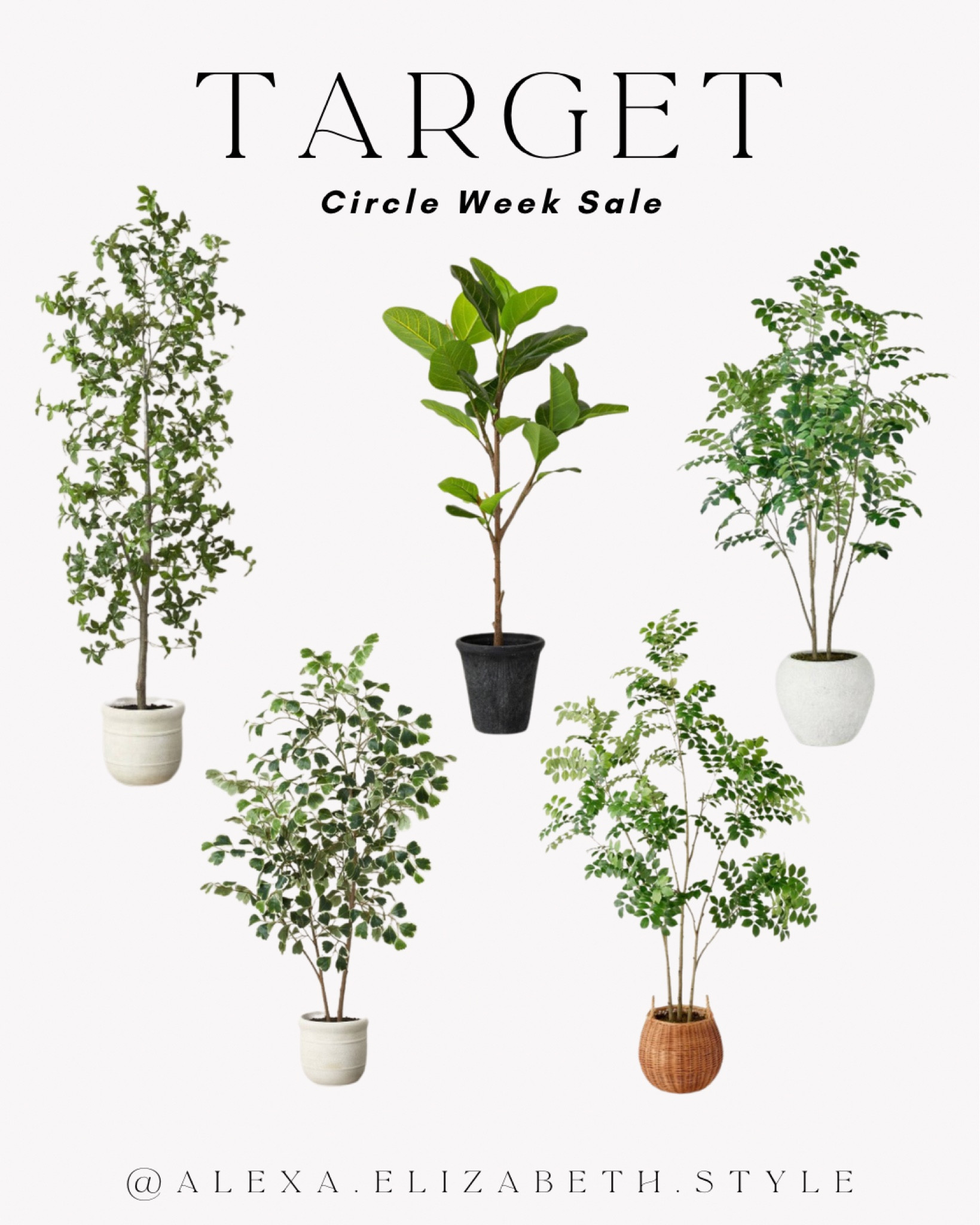 Faux trees on sale for Target circle week 

#LTKSummerSales #LTKSaleAlert #LTKHome