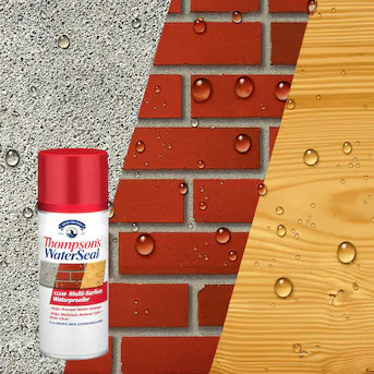 Thompson's WaterSeal Clear Flat Transparent Oil-based Exterior Waterproofer ( 12-oz ) | Lowe's