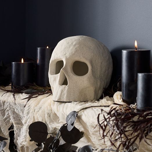 Shape Studies Ceramic Skulls | West Elm (US)