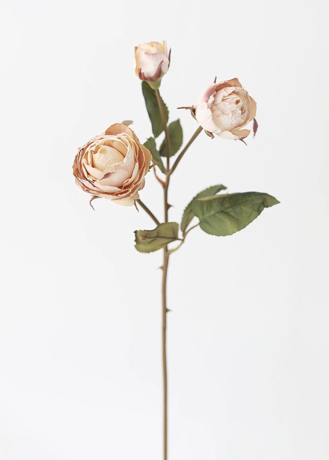 Beige Roses with Bud | Fake Flowers in Neutral Colors | Afloral.com | Afloral