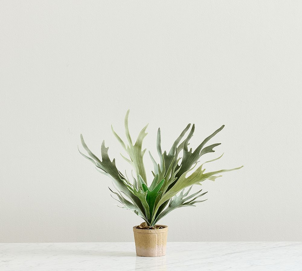Large - 20"H | Pottery Barn (US)