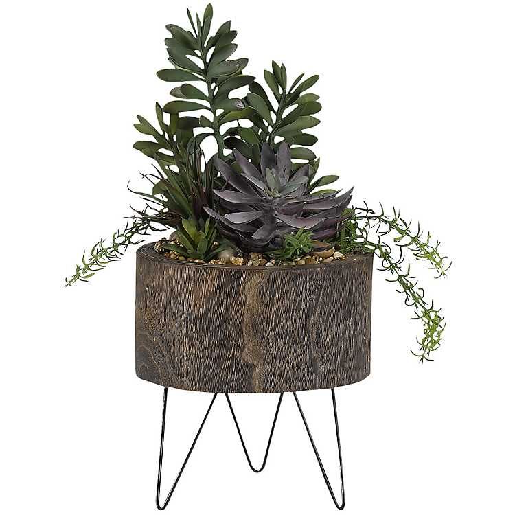 New! Frosted Echeveria Succulent in Hairpin Leg Planter | Kirkland's Home