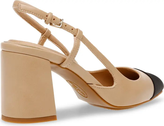 Brinlee Pointed Toe Pump (Women) | Nordstrom