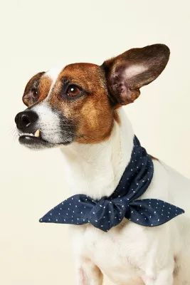 Denim Polka Dotted Dog Necktie | Anthropologie (US)