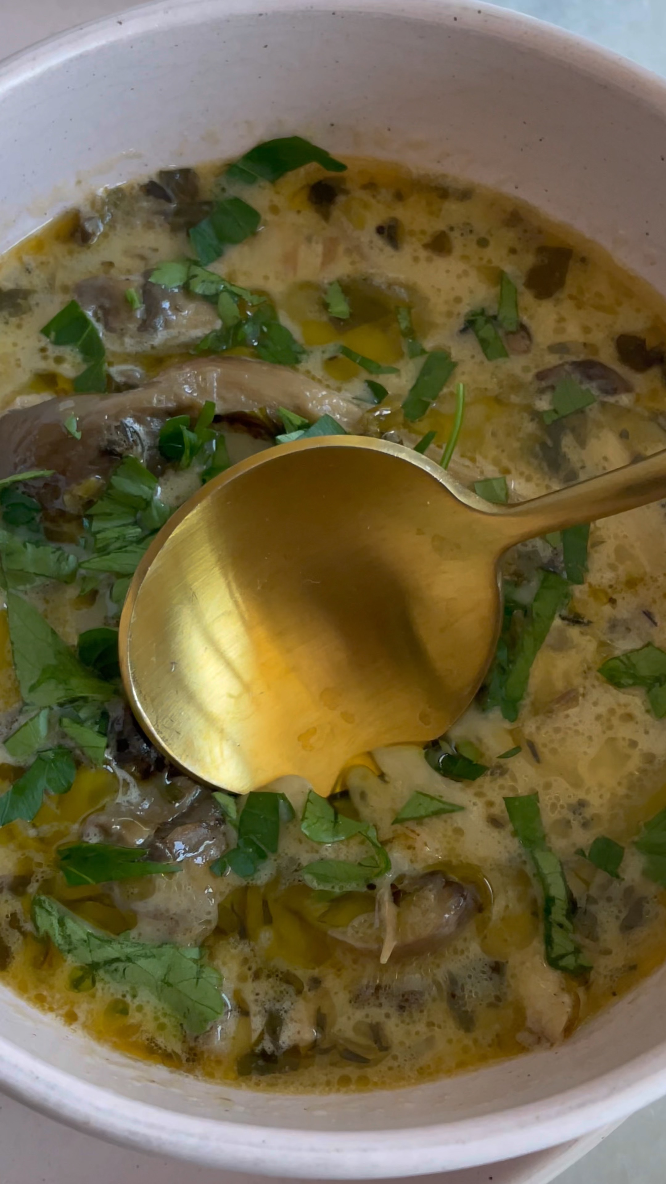 Creamy mushroom & chicken soup 🤤! Linking my new favorite olive oil! It can be hard to find a good high quality olive oil! This one is single origin from Greece, stored in a glass coated container for maximum freshness, and has a lower acidity! 

#LTKFindsUnder50 #LTKGiftGuide #LTKHome