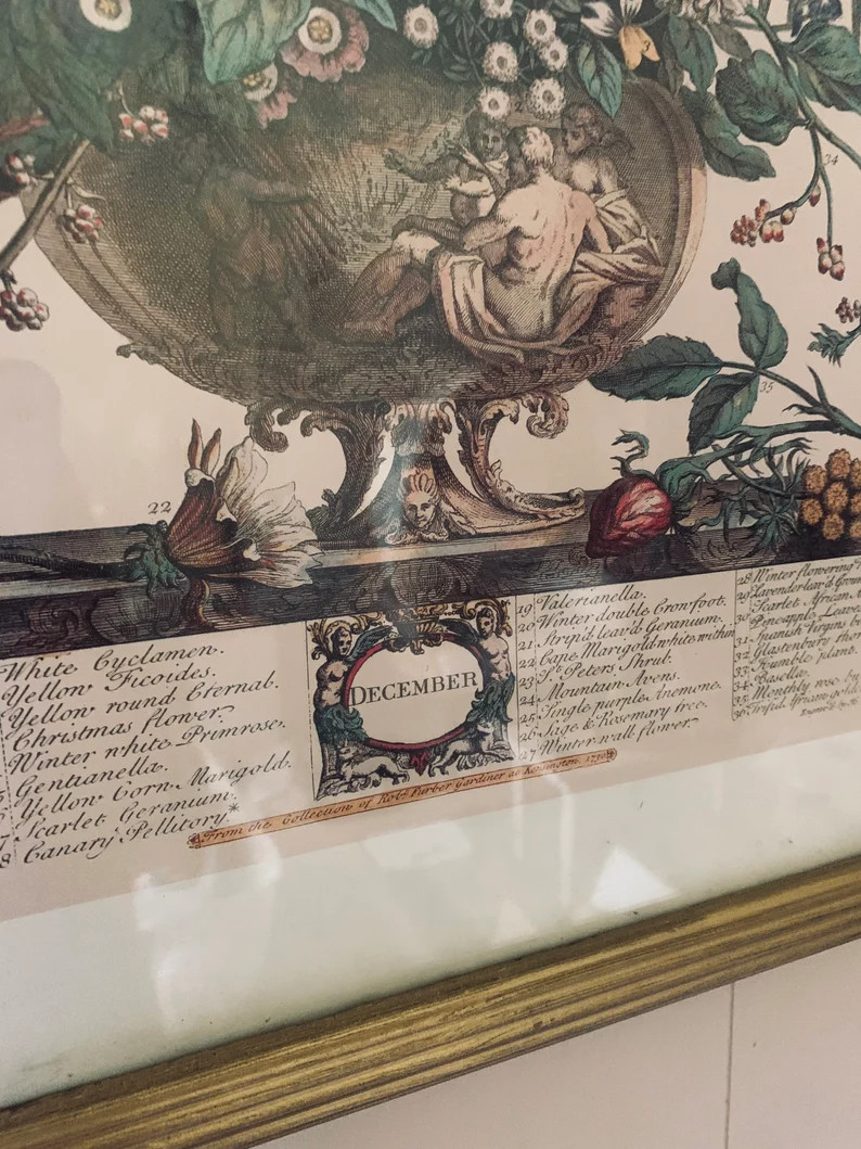 12 Months of Flowers Vintage Large Framed Print-december - Etsy | Etsy (US)