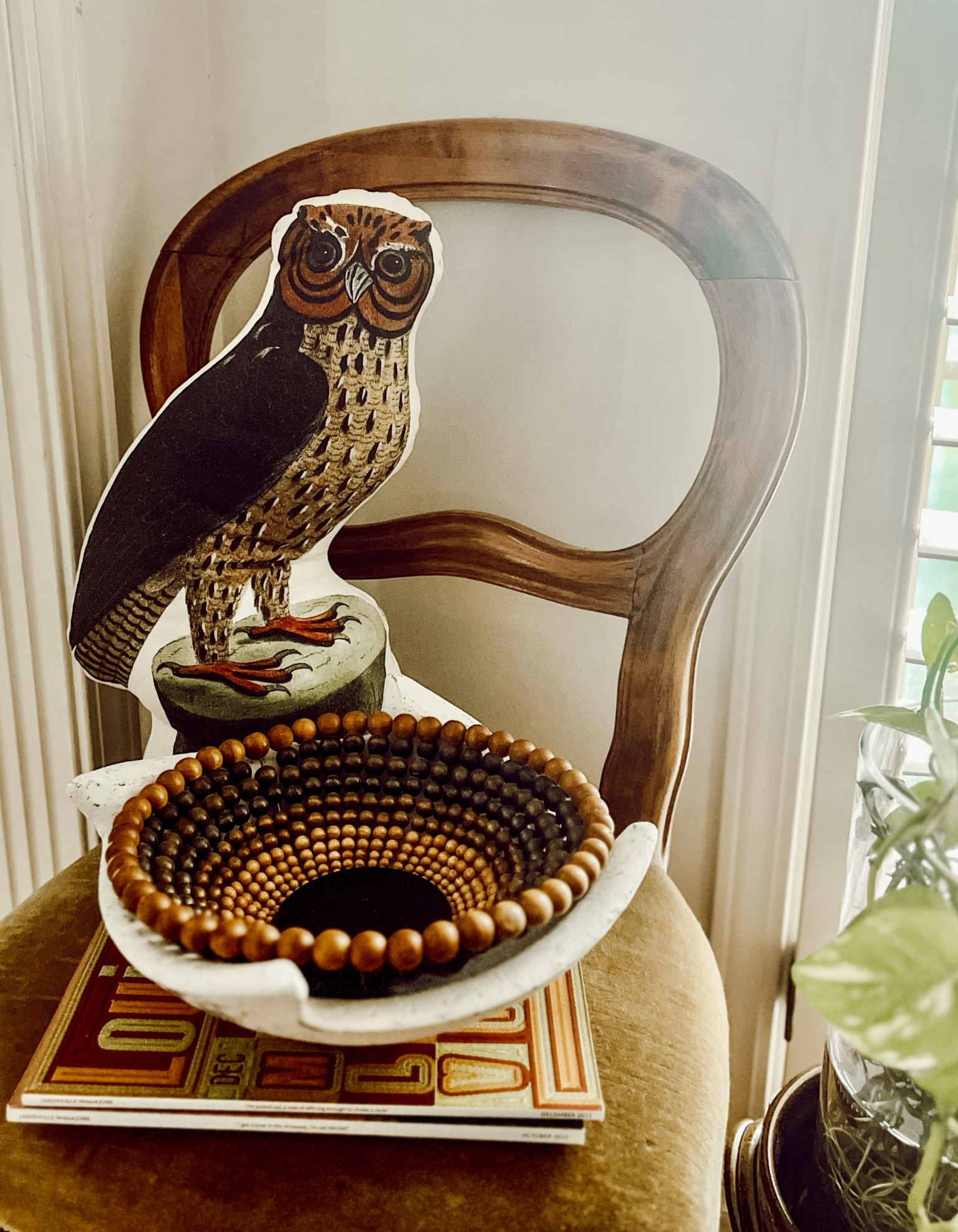 Loving this owl pillow from the John Derian collection this year 🎯

#LTKHome #LTKFindsUnder50 #LTKSeasonal