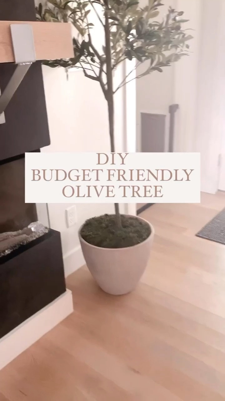 DIY budget friendly olive tree. Planter, faux olive tree, amazon home finds, budget friendly decor, pottery barn dupe, crate & barrel dupe, home decor diy

#LTKSeasonal #LTKunder100 #LTKhome