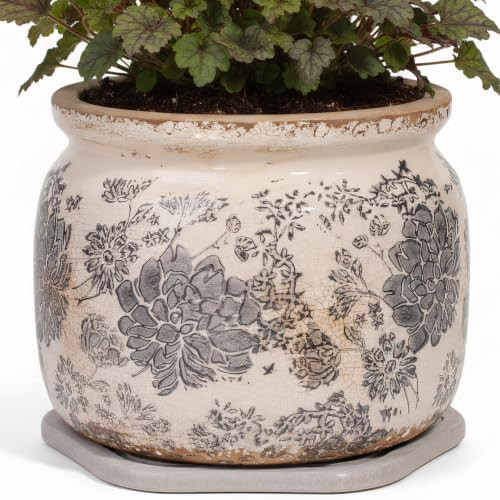 Rustic Ceramic Plant Pot with Decorative Saucer, Gifts for Plant Lovers | Amazon (US)