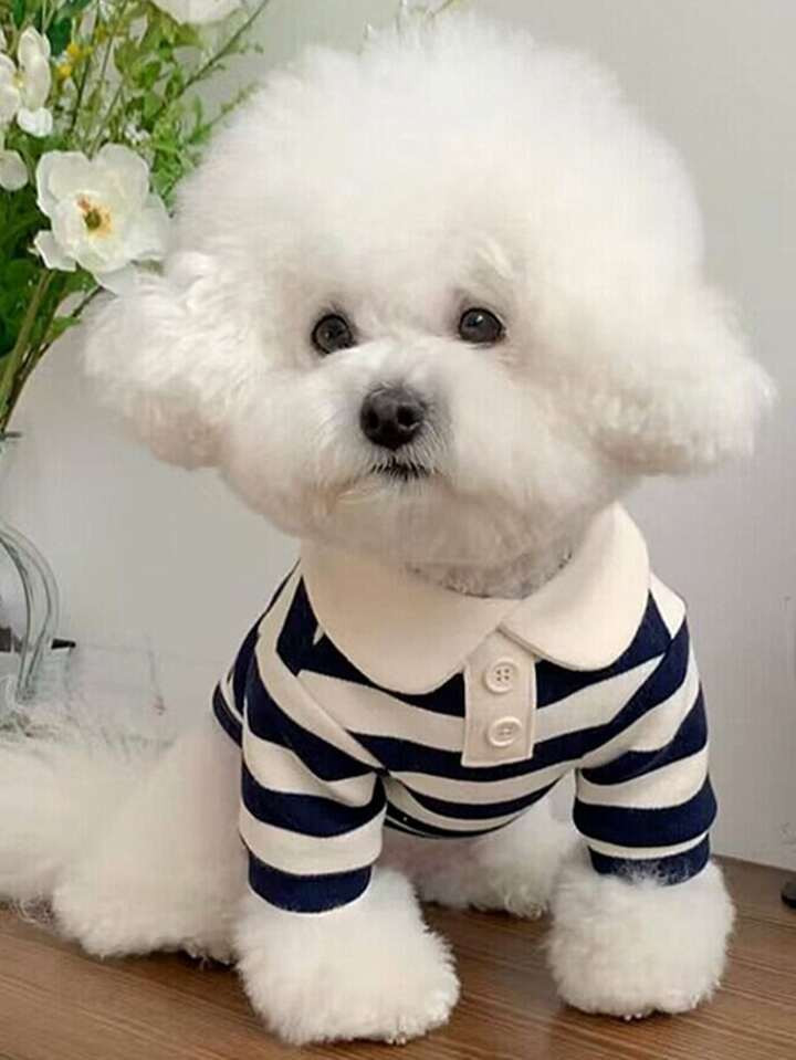 Striped Pattern Pet Tee | SHEIN