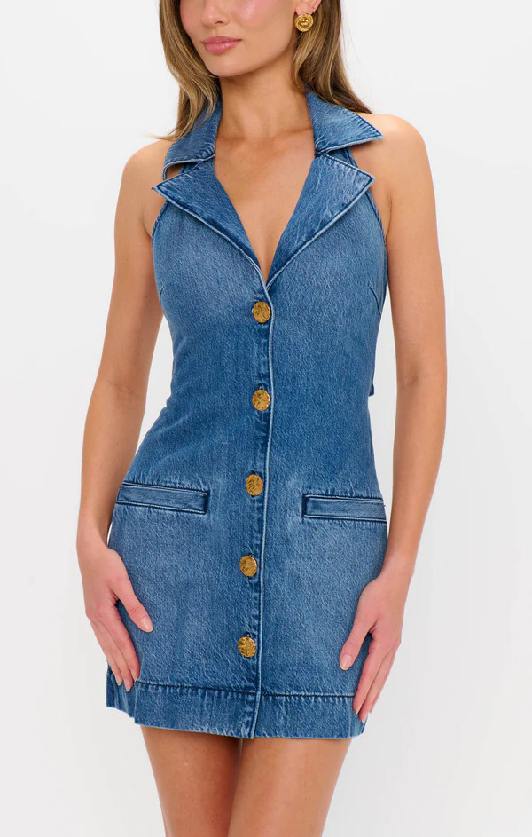 Darien Dress ~ Bluebird | Show Me Your Mumu