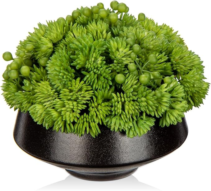 Briful Succulents Plants Artificial in Ceramic Pots Fake Succulent Arrangement with Black Bowl Pl... | Amazon (US)
