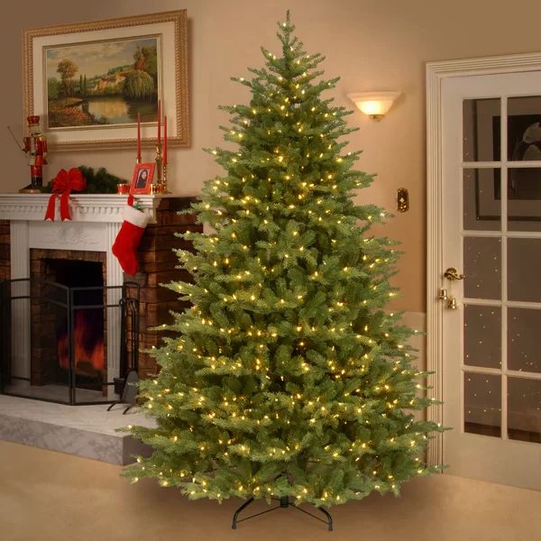 Nordic Spruce Green Spruce Artificial Christmas Tree with Clear/White Lights | Wayfair North America