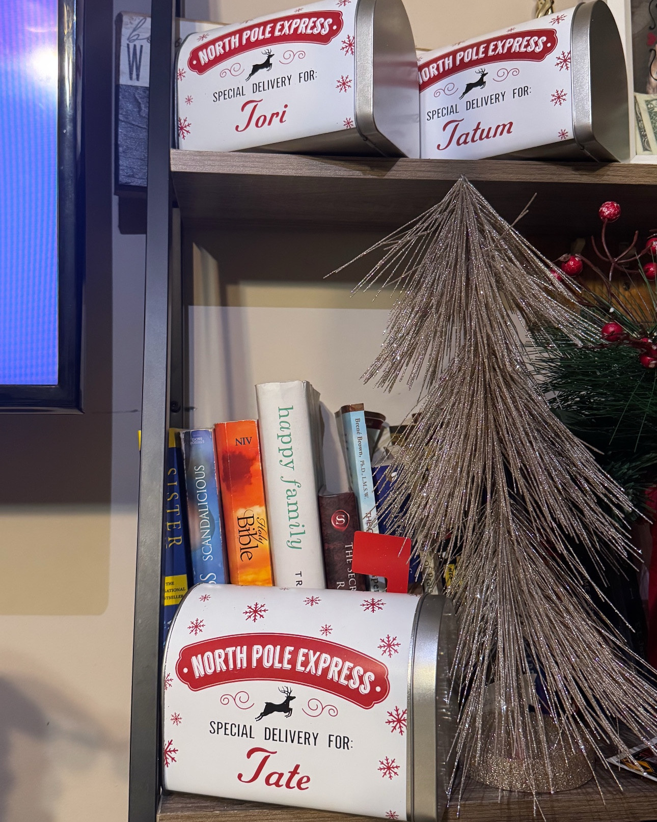 Another cute keepsake that's perfect for the holiday decor! I added them to our bookshelf while waiting for one more to add. 

#LTKSeasonal #LTKHoliday #LTKFamily