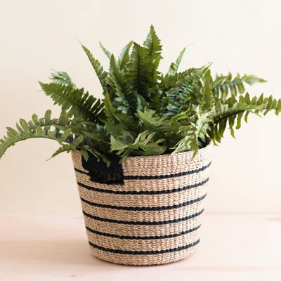 Black Stripes Tapered Basket | Wayfair North America