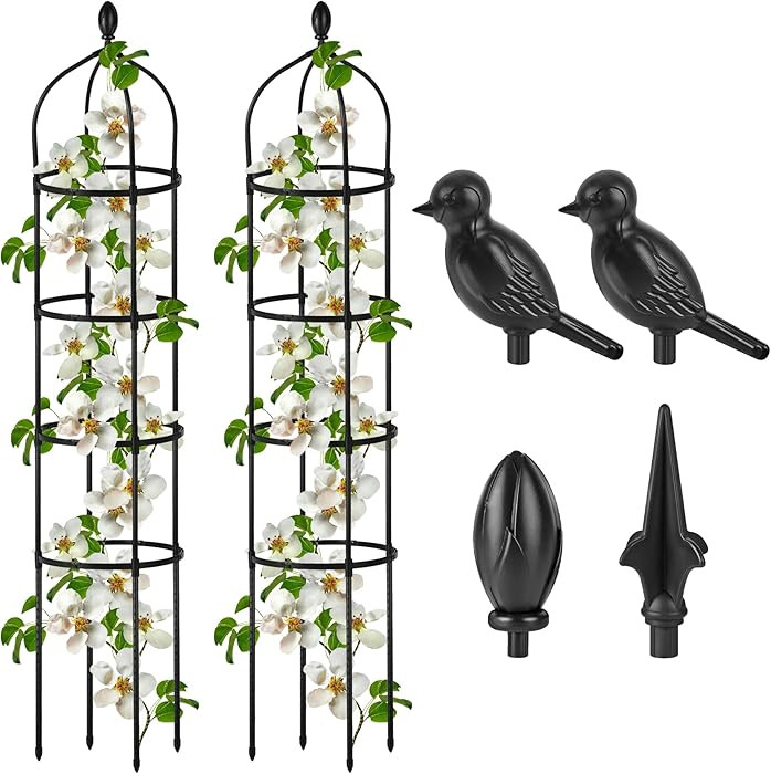 2 Pcs Garden Obelisk Trellis for Climbing Plants Outdoor 6 Ft Rose Bush Round Trellis for Pots Ru... | Amazon (US)