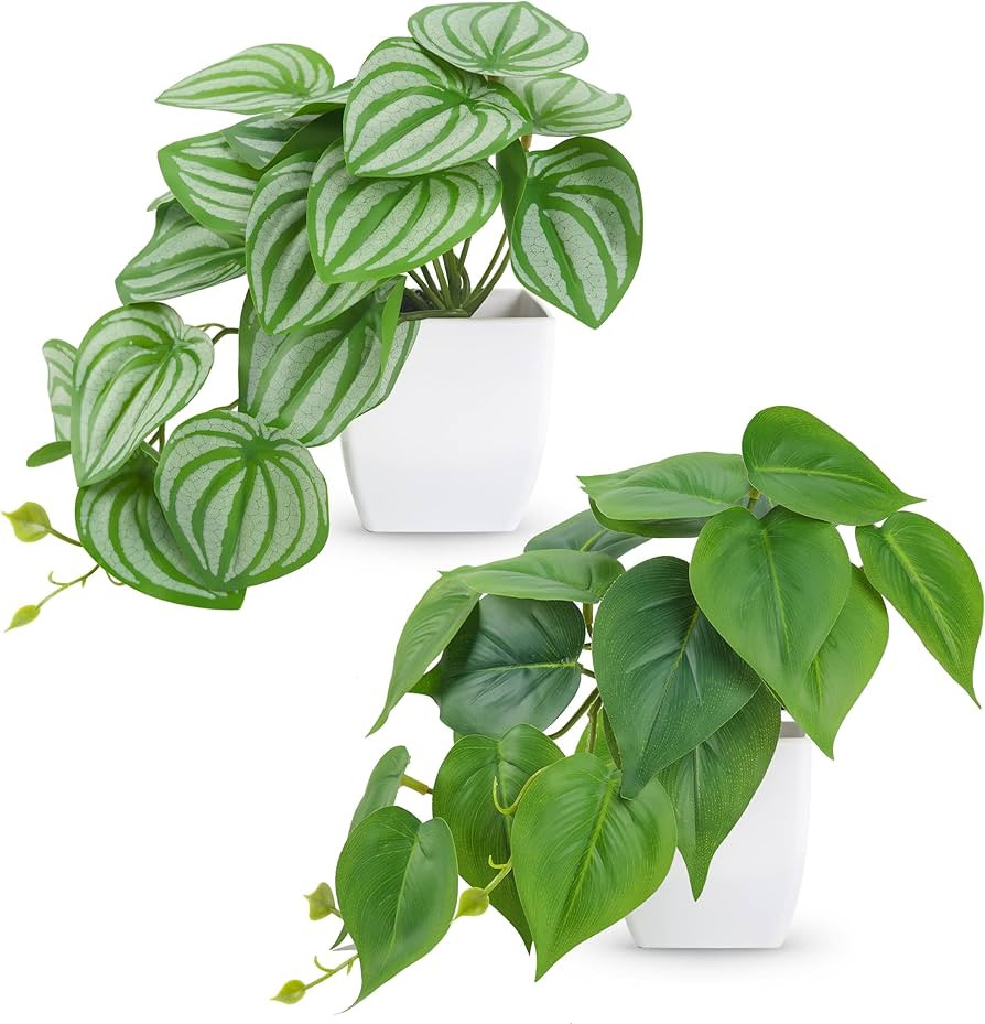 Der Rose 2Pcs Small Fake Plants Artificial Mini Faux Plants for Bathroom Office Desk Shelf Table ... | Amazon (US)