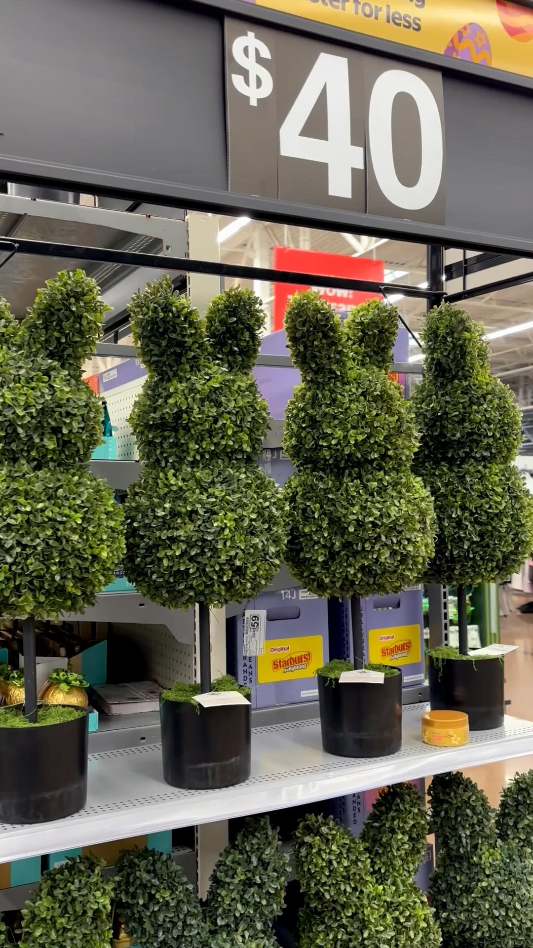 Easter Bunny Topiaries!! 

Walmart, Easter, decor, holiday, bunnies, eggss

#LTKHome #LTKSeasonal #LTKKids