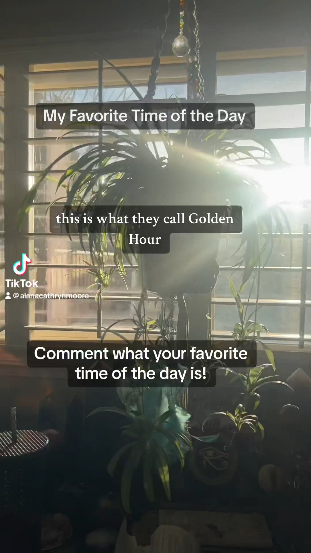 ✨ Embracing the golden hour vibes with my plant-filled sanctuary and mesmerizing crystal hangers from Twisted Crystal. 

🌿Calling all free-spirited souls in their 40s who share a love for plants, boho living, and the enchanting dance of sunlight! 

🐘Join me on this radiant journey. 

#GoldenHourMagic #BohoLiving #PlantLovers #CrystalHangers #SuncatcherVibes #HippieLifestyle

#LTKVideo #LTKhome #LTKover40