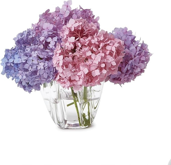 Two's Company Handkerchief 5 Section Vase, 8-Inch, Acrylic, Clear | Amazon (US)