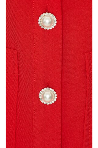 Phillipa Mini Dress in Scarlet | Revolve Clothing (Global)