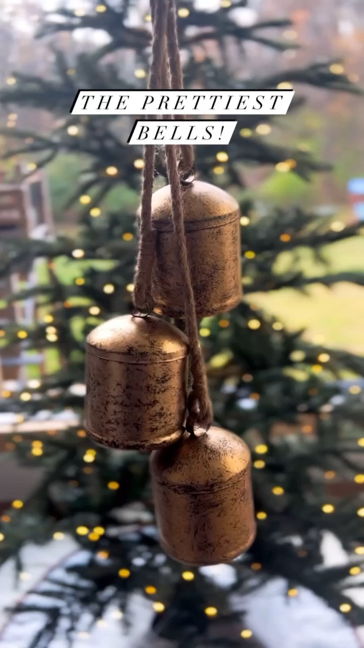 Christmas porch decor 🌲

Christmas, bells, wreath, ribbon, trees, tree, doormat, front porch, lights, holiday, home decor 

#LTKSeasonal #LTKHoliday #LTKfindsunder100