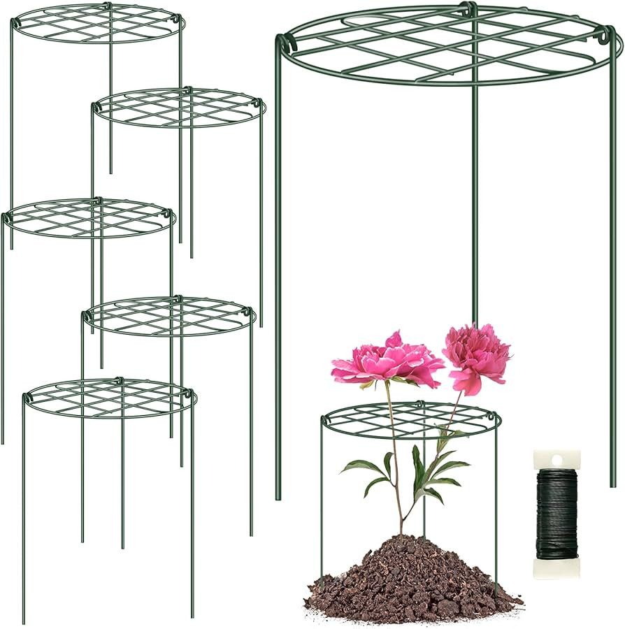 6 Pack Peony Cages and Supports 12 x 16 Inch Grow Through Plant Supports for Outdoor Plants,Plant... | Amazon (US)