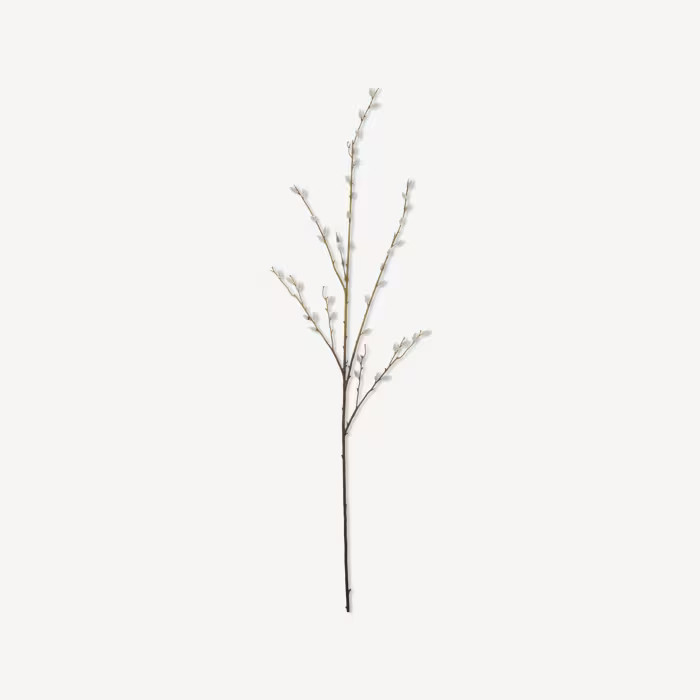 Pussy Willow Stem | Bouclair