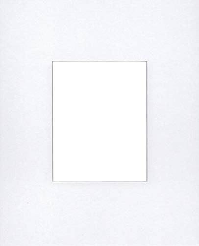 Pack of (5) 16x20 Signature Picture Mats Cut for 8x10 Pictures-Perfect for Anniversaries, Wedding... | Amazon (US)